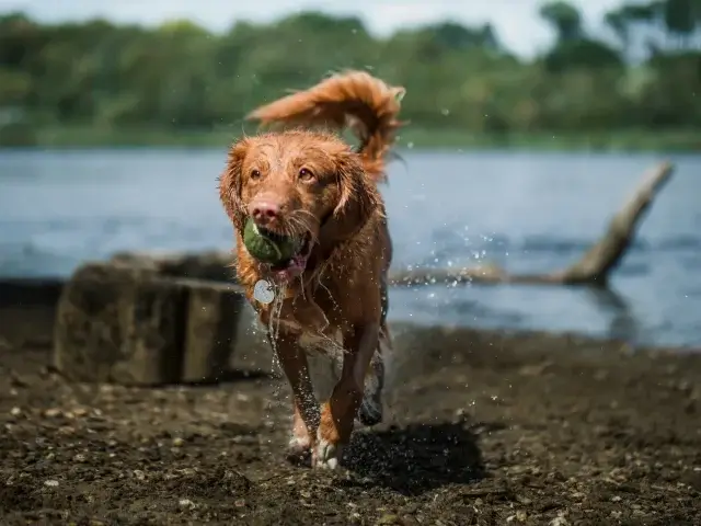 jamie-street-oozp9yyhmis-unsplash